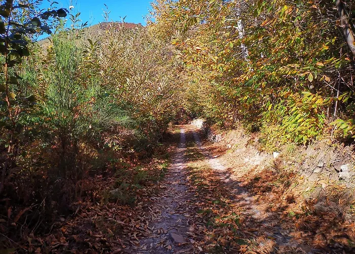 Ribes By Interhome Feriehus *