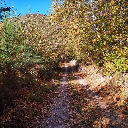 Ribes By Interhome Дом отдыха *